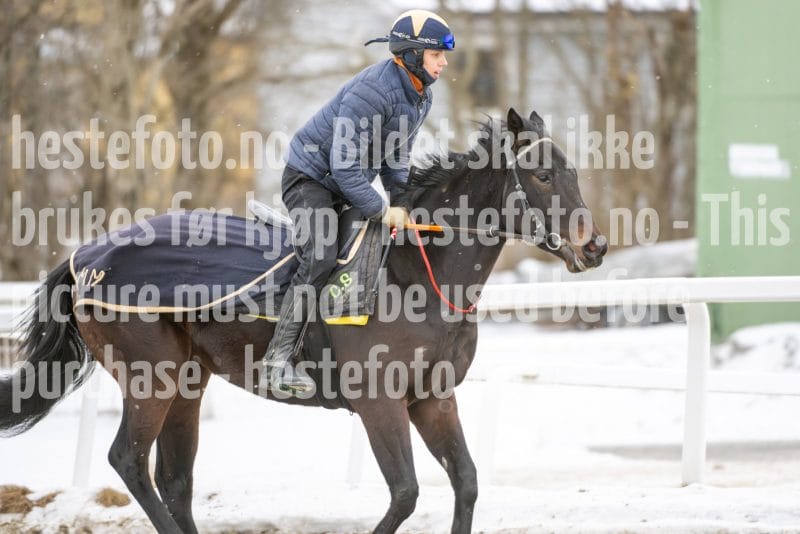 20260131-123813-DSC_1054