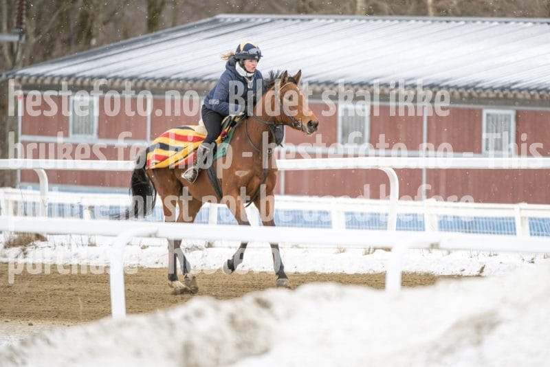 20260131-124353-DSC_1090