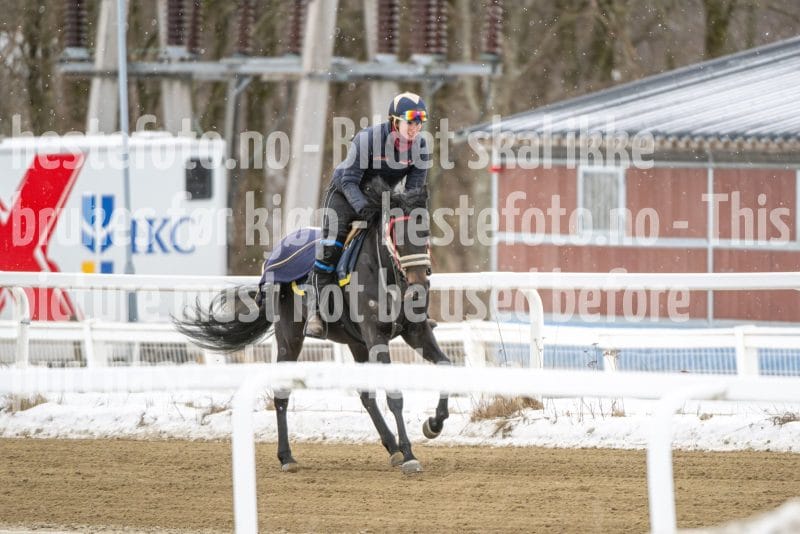 20260131-124355-DSC_1097