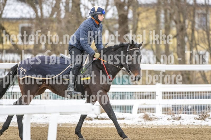 20260131-124406-DSC_1151