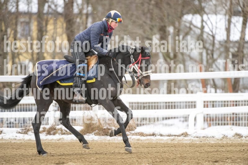 20260131-124404-DSC_1144