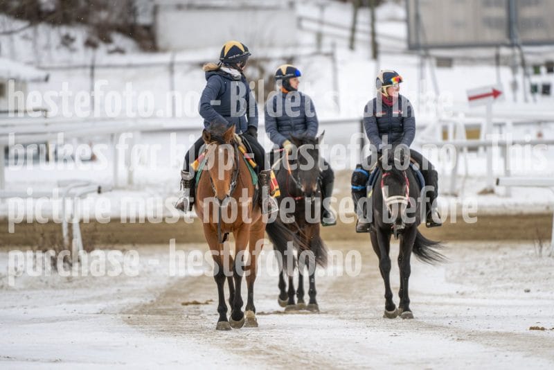 20260131-124735-DSC_1192