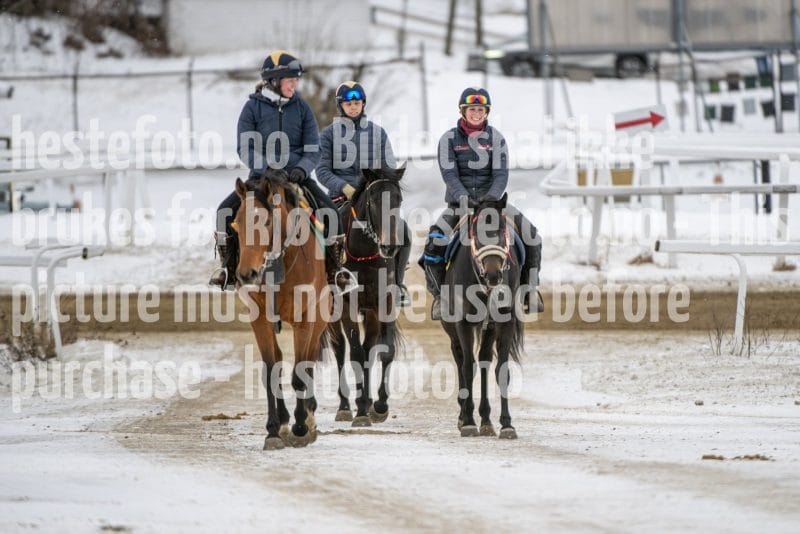 20260131-124733-DSC_1183