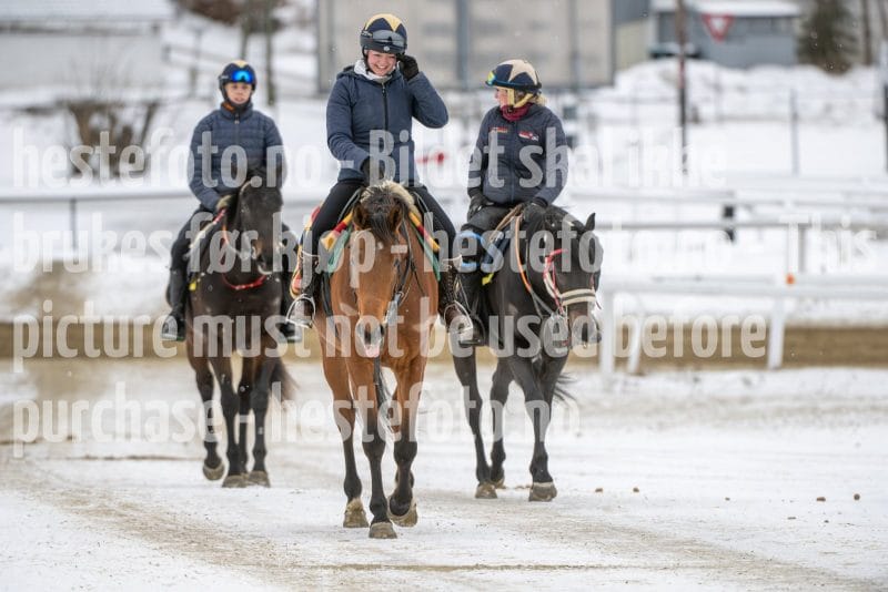 20260131-124744-DSC_1221