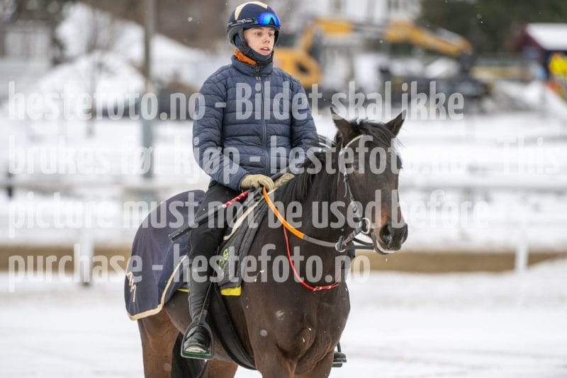 20260131-124804-DSC_1258