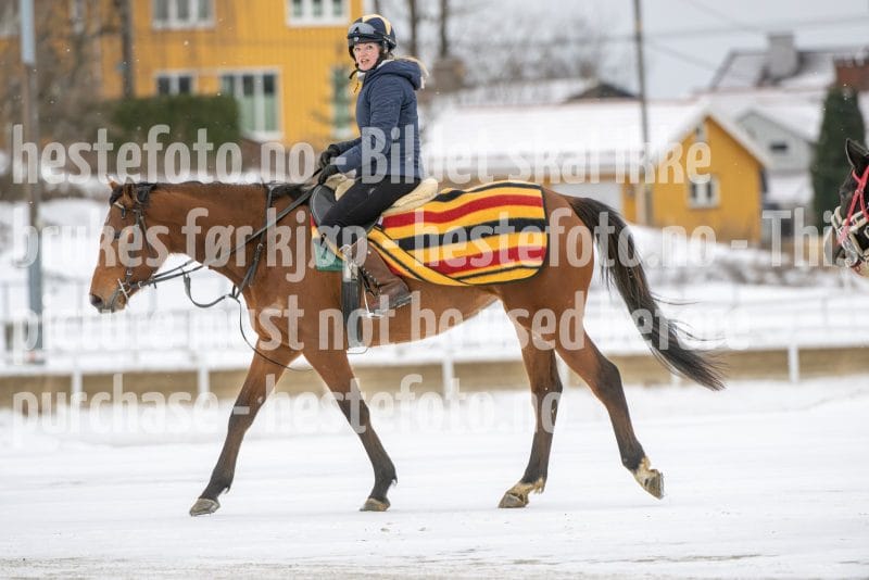 20260131-124831-DSC_1265