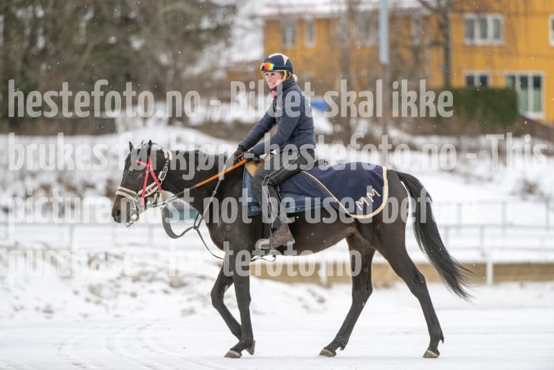 20260131-124836-DSC_1307