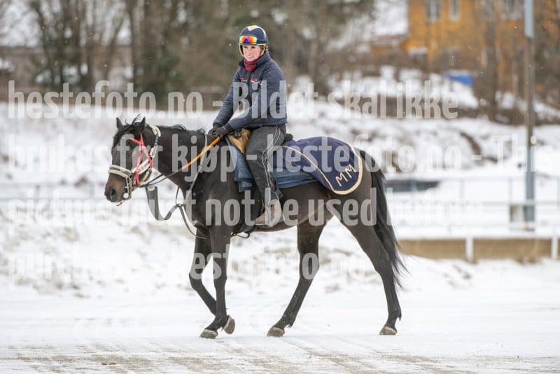 20260131-124838-DSC_1317