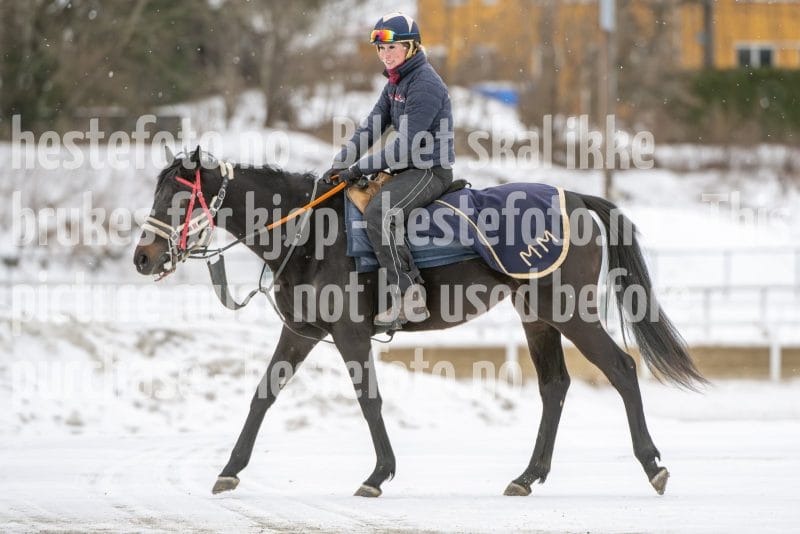 20260131-124836-DSC_1311