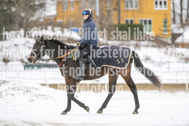 20260131-124840-DSC_1331