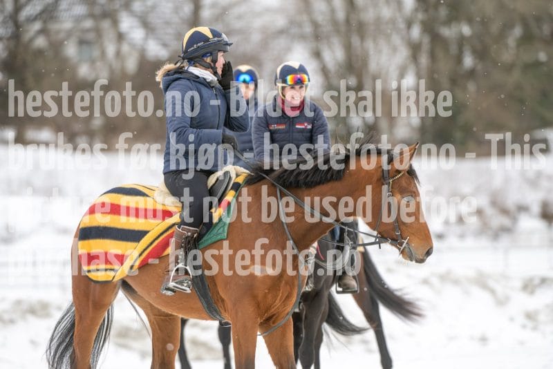 20260131-124843-DSC_1343