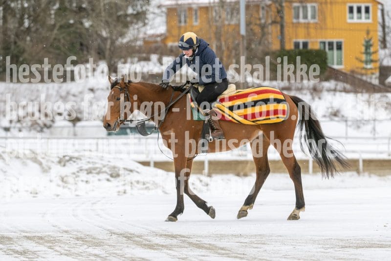 20260131-124904-DSC_1386