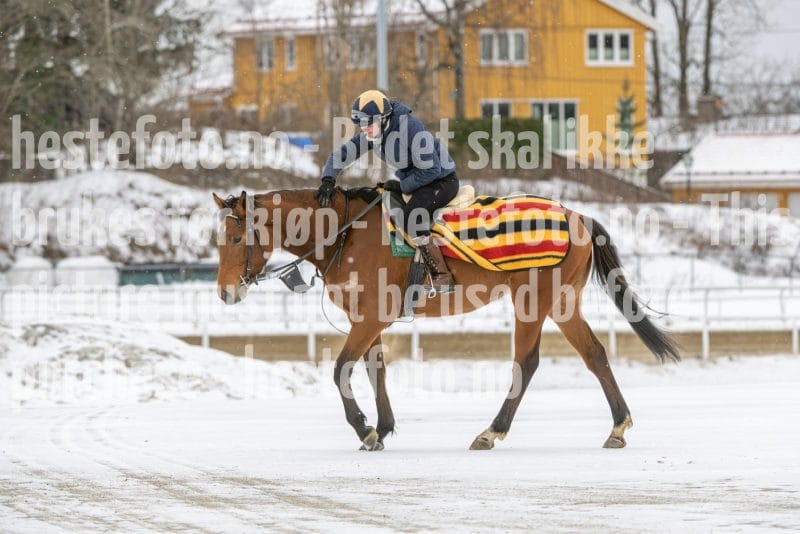 20260131-124904-DSC_1376