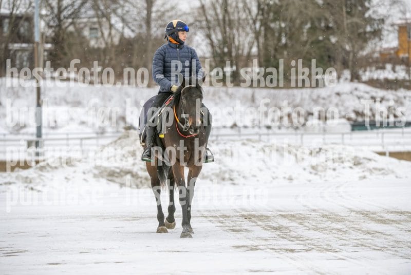 20260131-124850-DSC_1356