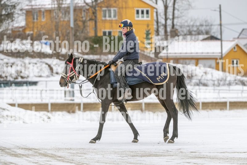 20260131-124907-DSC_1398