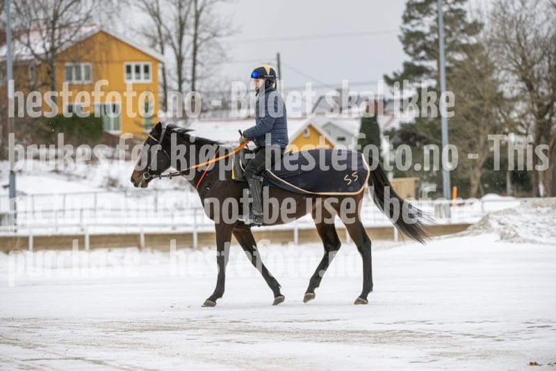 20260131-124911-DSC_1414