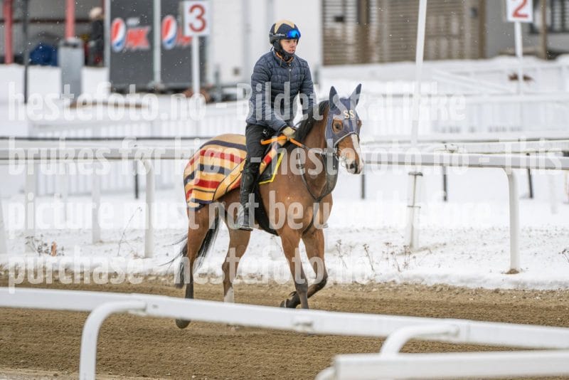 20260131-134052-DSC_1465