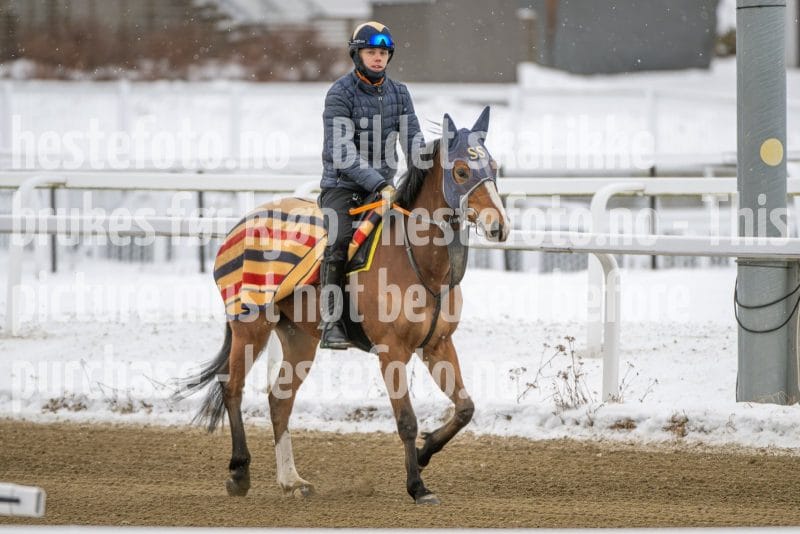 20260131-134055-DSC_1478