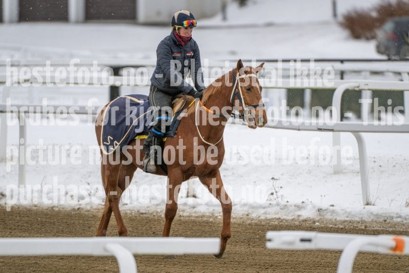 20260131-134100-DSC_1511