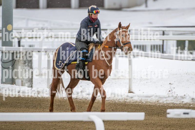 20260131-134100-DSC_1504