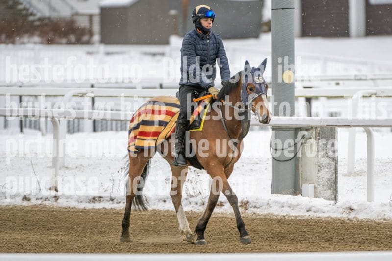 20260131-134056-DSC_1489