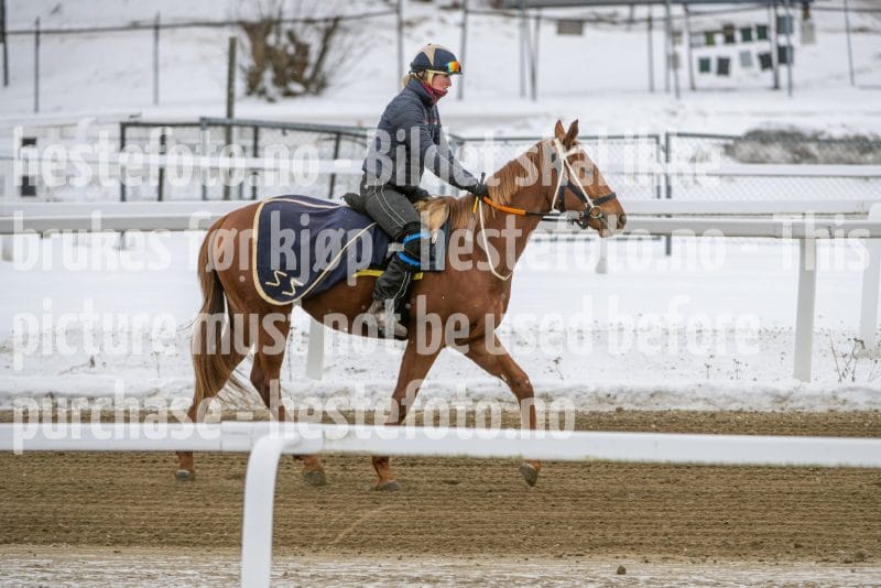 20260131-134110-DSC_1537