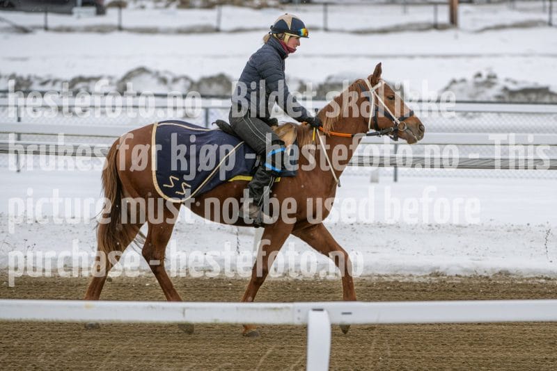 20260131-134112-DSC_1554