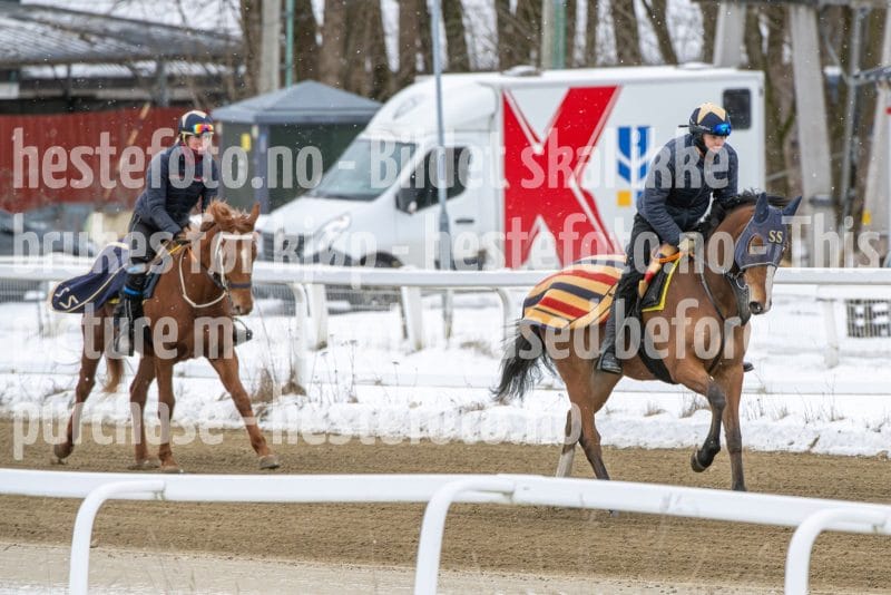 20260131-134403-DSC_1571