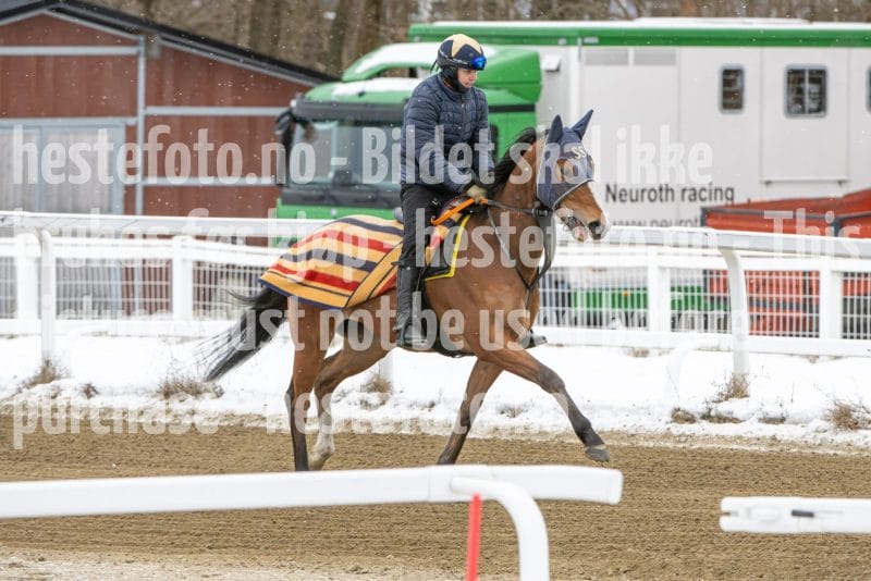 20260131-134408-DSC_1585