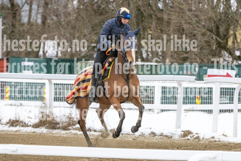 20260131-134410-DSC_1590