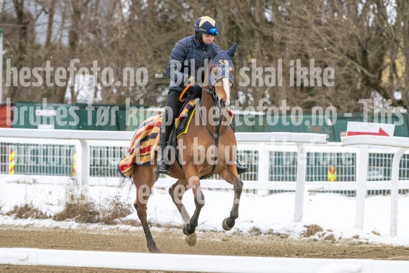 20260131-134410-DSC_1591