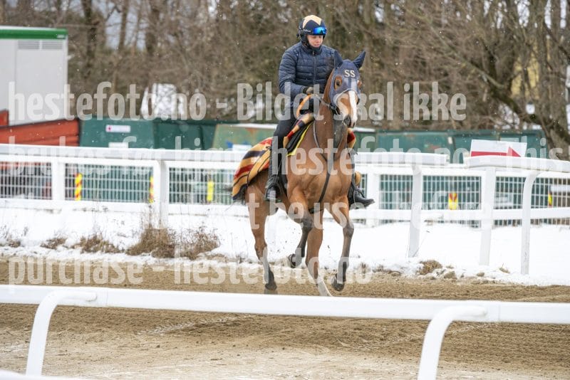 20260131-134410-DSC_1594