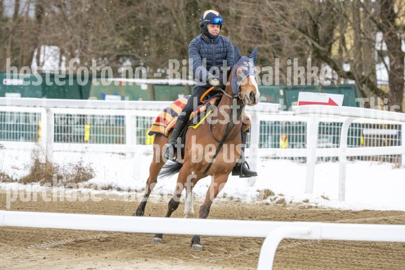 20260131-134411-DSC_1601