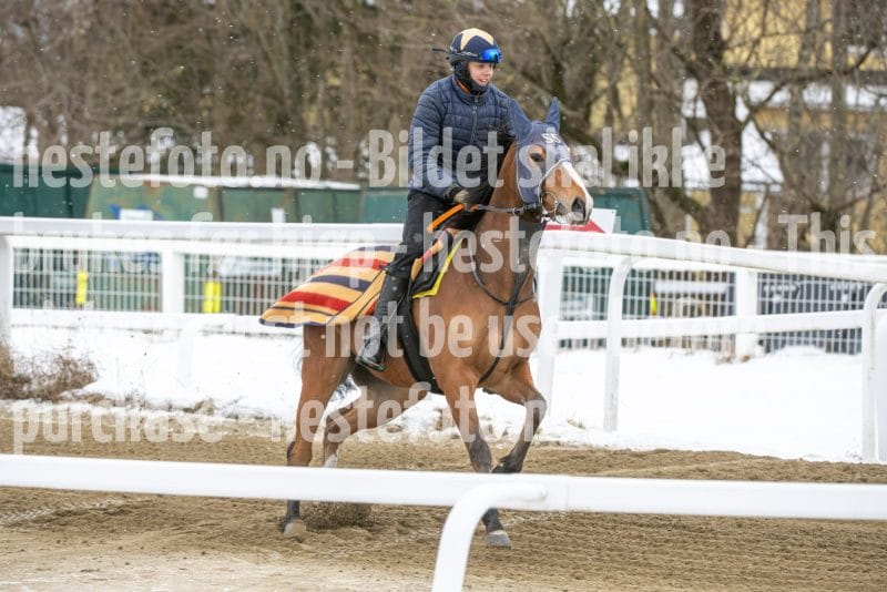 20260131-134411-DSC_1606