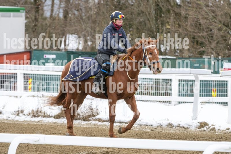 20260131-134414-DSC_1613