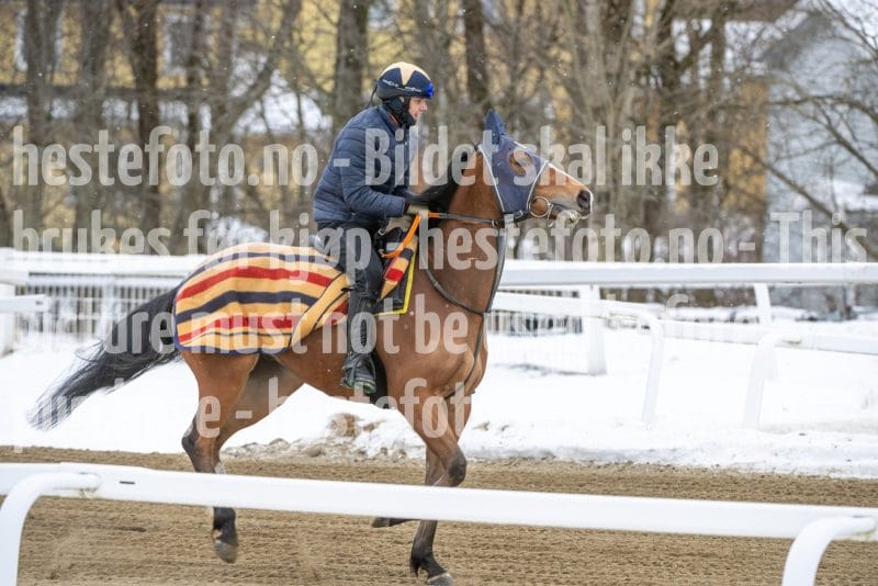 20260131-134412-DSC_1608