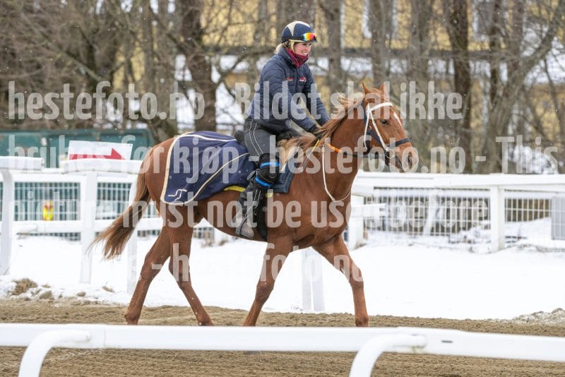 20260131-134415-DSC_1624