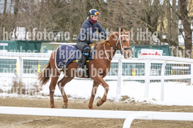 20260131-134414-DSC_1621