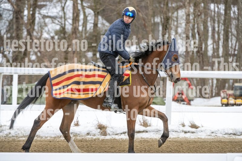 20260131-134417-DSC_1632