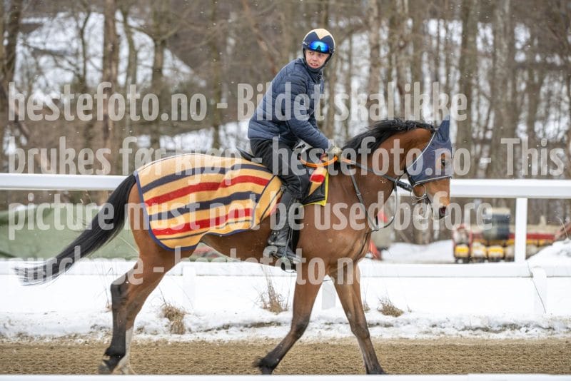 20260131-134418-DSC_1635