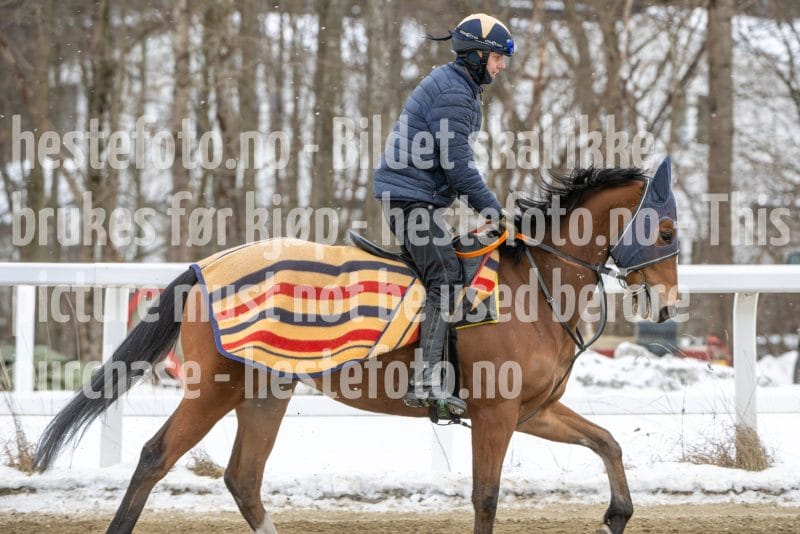 20260131-134418-DSC_1644