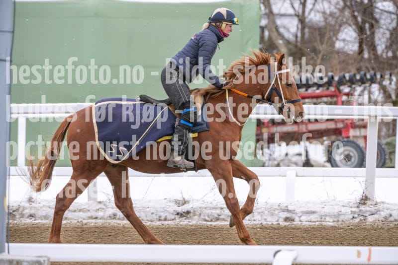 20260131-134420-DSC_1660