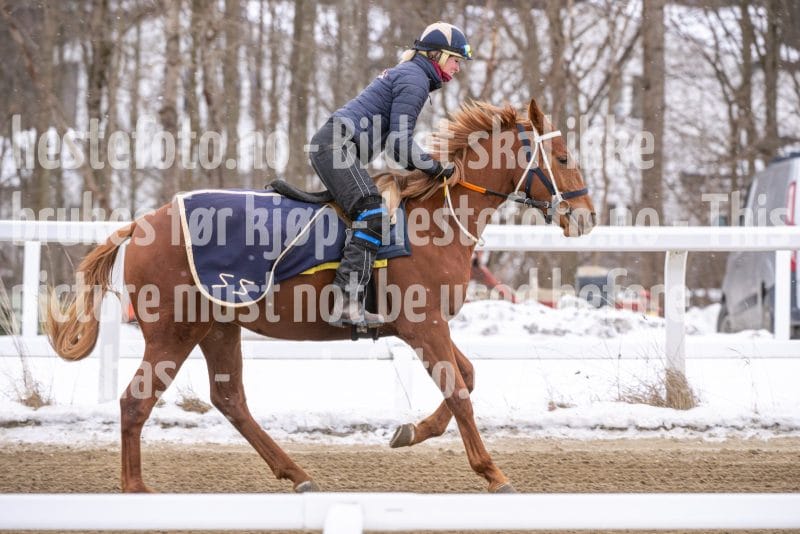 20260131-134422-DSC_1683