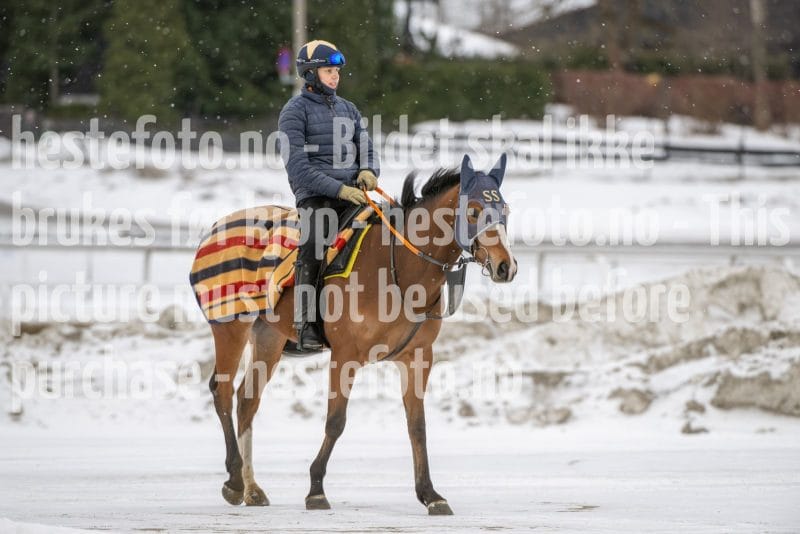 20260131-134842-DSC_1718