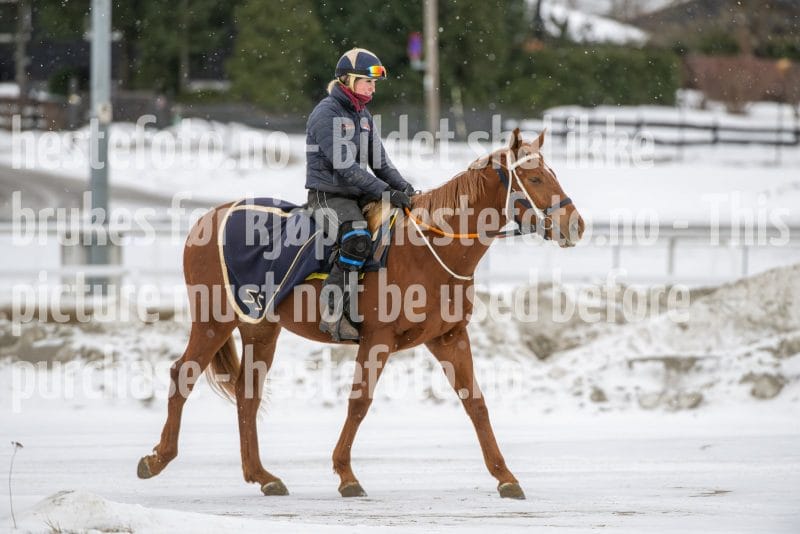 20260131-134848-DSC_1746