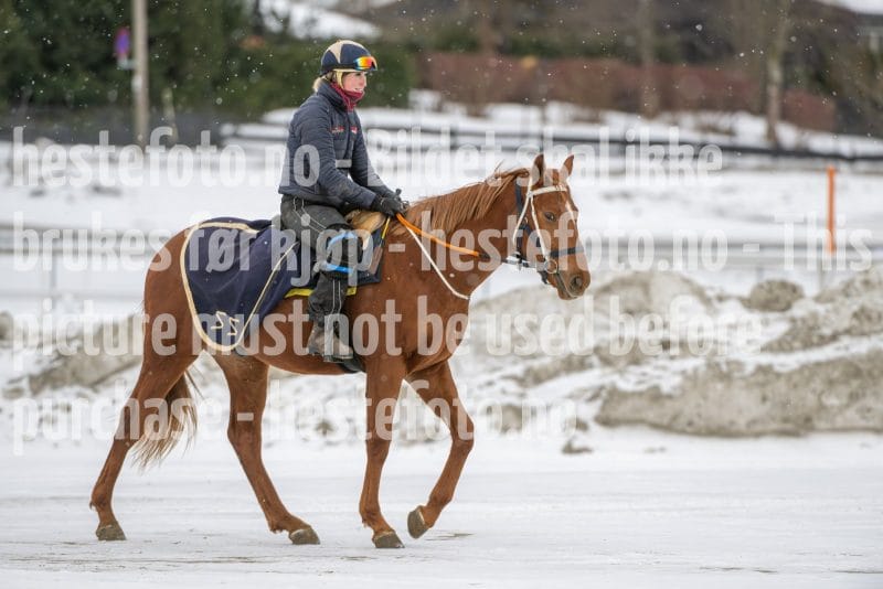 20260131-134849-DSC_1748