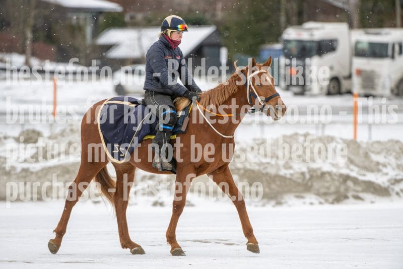 20260131-134851-DSC_1774