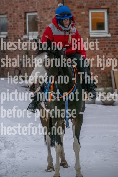 20260207-100140-DSC_2224