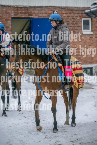 20260207-100147-DSC_2264