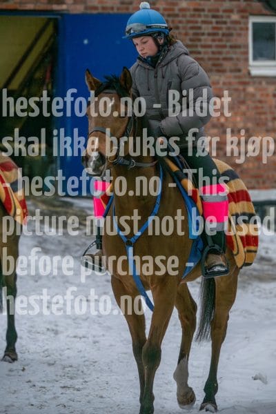 20260207-100142-DSC_2242